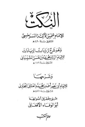كتاب النكت وهو شرح لزيادات الزيادات